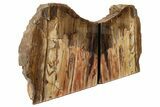 Colorful Petrified Wood Bookends - Washington #199152-1